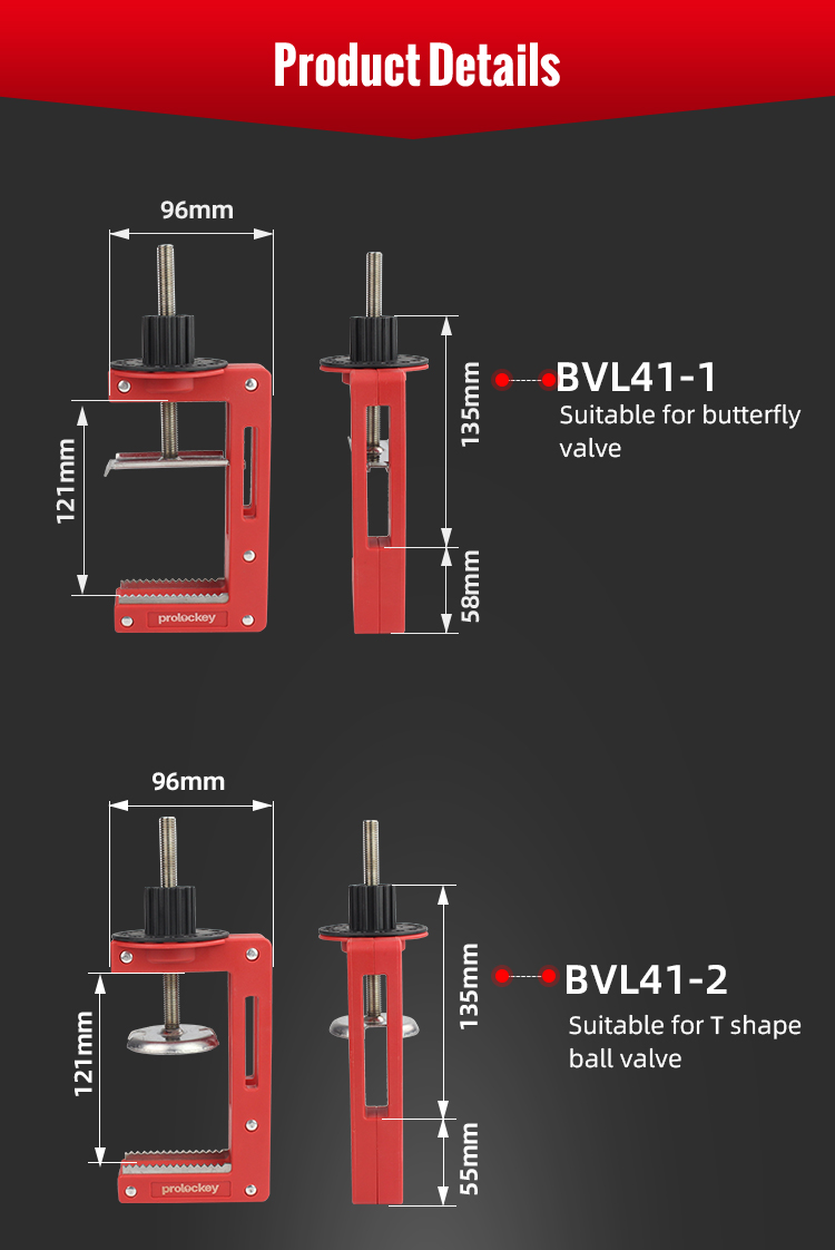 BVL41-1--BVL41-2_01